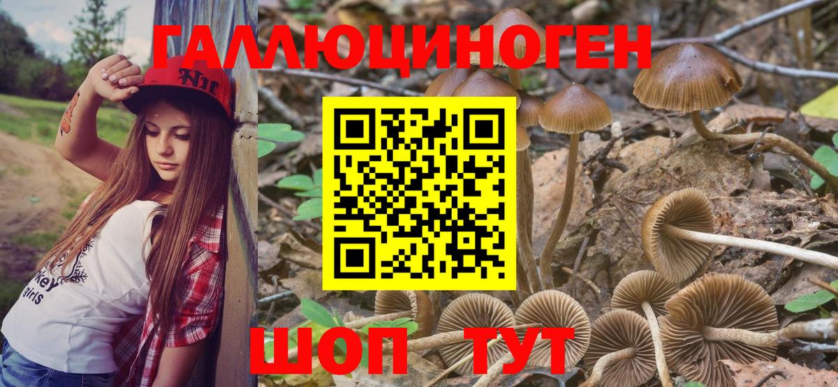 Новокуйбышевск  Псилоцибиновые грибы Magic Shrooms  Вход с VPN 